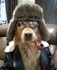 "Проснулся, решил посмотреть на жену. Повернулся"