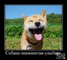 привет, братюня!!!