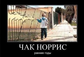 Интересные факты из жизни Чака Норриса