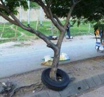 вот это точно тут не в тему!Ничего странного и удивительного с точки зрения физики а вот с точки зрения загаживания природы матушки -возмутительно!