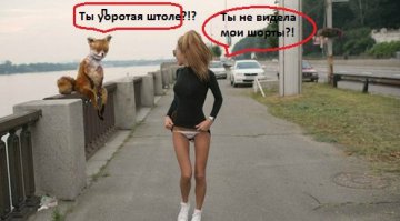 Лучшее ограбление из всех, что я видел