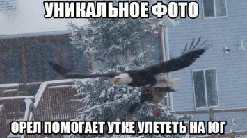 25 вирусных фото, которые оказались фейками