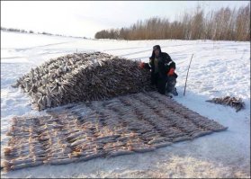 отомстили за утенка