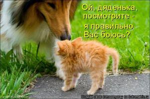 Самые страшные животные по версии WWF