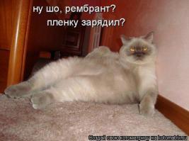 ну просто зе бест, ещё хотим