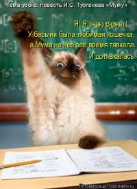 прикольно, одно видео ржачней другого