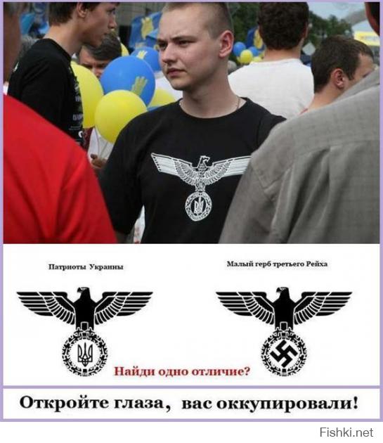 Постпредство РФ показало НАТО, «где на Украине фашисты»