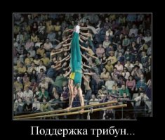 Лучшие спортивные фото 2014 года