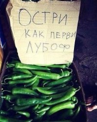 Смешные надписи и объявления