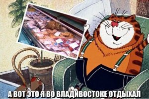 История гурмана из Владивостока: рыжий кот оказался серой кошкой