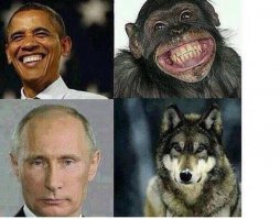 Неожиданные сходства, окружающие нас