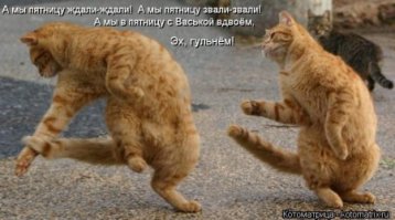 "Синхронизация прошла успешно"