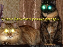 20 фотографий, которые смотрят на тебя