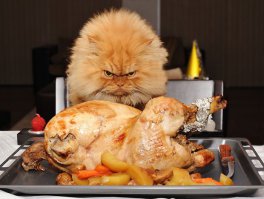  Замечательные фотографии, которые вызывают улыбку и восторг