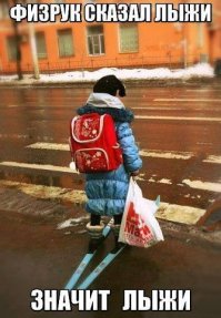 Странности нашей жизни и не только в картинках