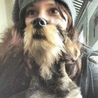 Смешные картинки 