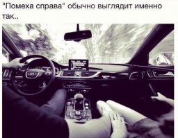 Просто смешные картинки с подписями