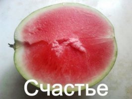 А где семечки?