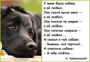 Дети с животными