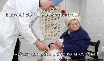 Самые смешные фото животных