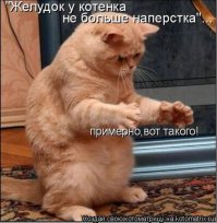 Вот это поворот 