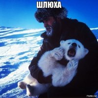 Есть еще порох! 