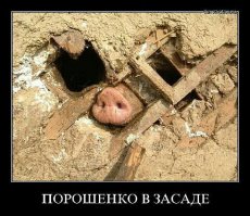 Вторжение. 125 серия блокбастера