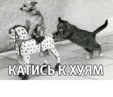 да и х*й ему дать вместе с этим телефоном...