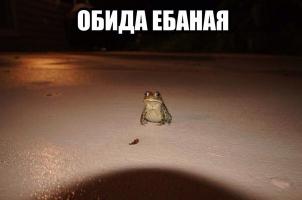 Шоколадное яйцо с сюрпризом. Ожидание и реальность