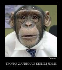 Фишкина солянка за 08.09.2014 