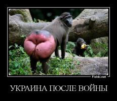 Фишкина солянка за 08.09.2014 