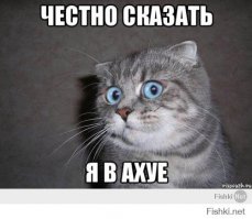 Дамочка на встречке в Баку