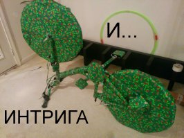 Фотоподборка за 23.12.2014