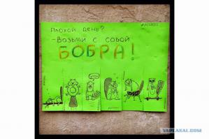 Котик доставил, дарите добро!