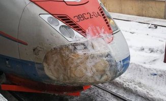 сапсанчик не болей!