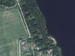 Воронежцы высадили 12 тысяч сосен в виде надписи «70 лет Победы»