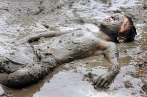 Фотопроект "Преобразование"