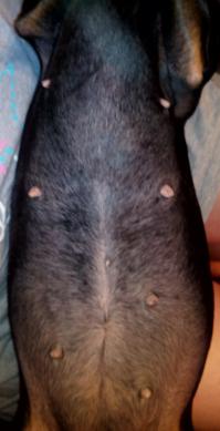 Ад для перфекционистов