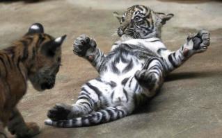 А ТАК СТРАШНО!?