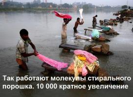 Фотоподборка за 25.09.2014 