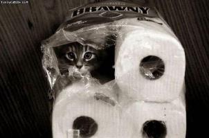 Мастера маскировки