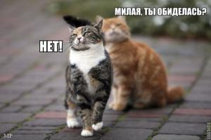 Мне это больше нравится =)