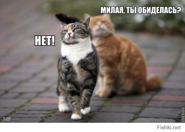 Мне это больше нравится =)