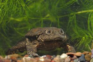 У меня такое же лицо было когда я узнал, что в сентябре не будет З.П. =\