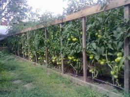 Не умею вставлять несколько фото- первый пост, извиняюсь!