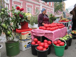 Не умею вставлять несколько фото- первый пост, извиняюсь!