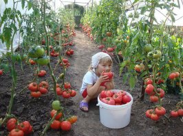Не умею вставлять несколько фото- первый пост, извиняюсь!