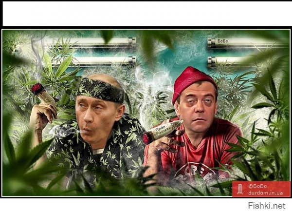 Правда о табаке