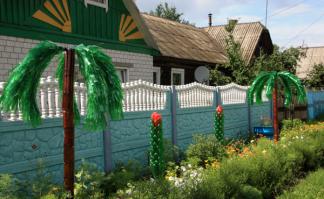 И пальмы, и кактусы)))