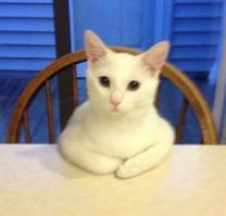 Значит так. Я против. Зима отменяется . НЕ ХОЧУ....ХОЛОДНО, БАТЬКА .